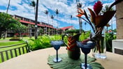 One Bd Grd Fl, AC, Wifi, Pool, Hot Tub B105