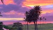 Two Bd Ocean View, wifi, Pool, Hot Tub A308