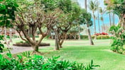 Two BD Grd fl, AC, Wifi, Pool, Hot Tub, B102