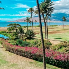 Two bd Ocean view. wifi. a/c. pool, hot tub A307