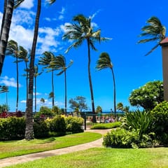 Gorgeous 1bd Grd Fl, AC,WiFi ,Pool, Hottub B110
