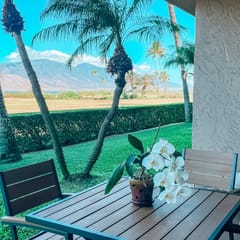 Remodeled One bd Ocean, AC,wifi, pool/hot tub D102