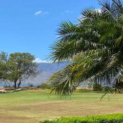 Two Bd Ocean View, Grd fl, AC, pool, hot tub D103