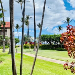 One Bd Grd Fl, AC, Wifi, Pool, Hot tub C107