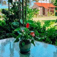 Two Bd Grd Fl, AC, wifi, Pool, Hot Tub  C110