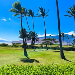 Beautiful One bd Ocean AC,wifi,pool  A102