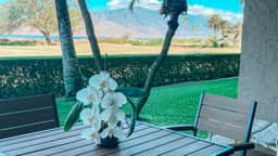 Remodeled One bd Ocean, AC,wifi, pool/hot tub D102 - Image 2