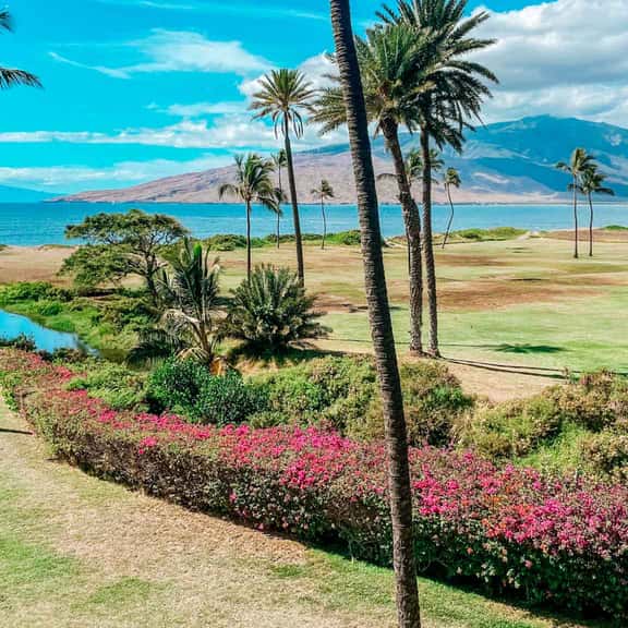 Two bd Ocean view. wifi. a/c. pool, hot tub A307 - Image 1