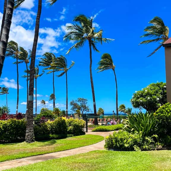 Gorgeous 1bd Grd Fl, AC,WiFi ,Pool, Hottub B110 - Image 1
