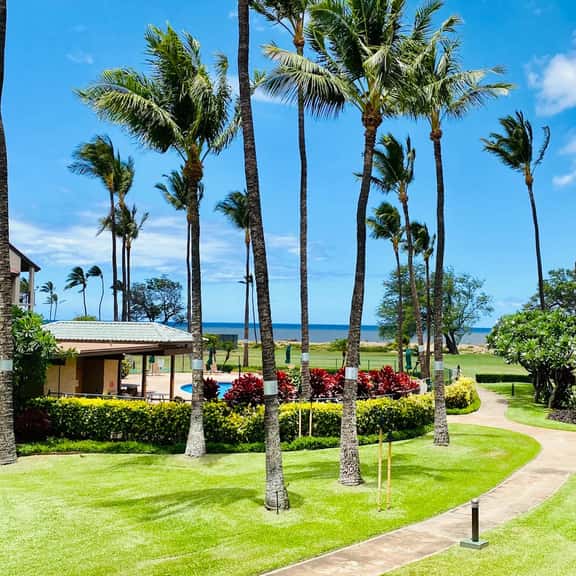 Two Bd Partial Ocean, AC,wifi, hot tub, pool B207 - Image 1