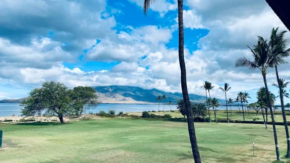 Two Bd Ocean View, AC, wifi, pool, hot tub D303 - Image 2