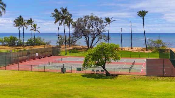 Two Bd Ocean View, wifi, pool, hot tub D306 - Image 3