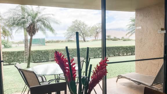 Gorgeous,2 bd, Ocean, AC,wifi,pool, hot tub D104 - Image 3