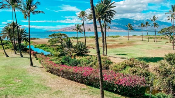 Two bd Ocean view. wifi. a/c. pool, hot tub A307 - Image 1