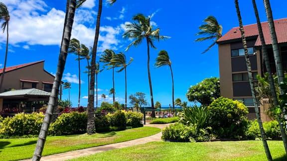 Gorgeous 1bd Grd Fl, AC,WiFi ,Pool, Hottub B110 - Image 1