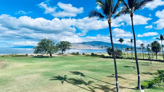 Two Bd Ocean view, AC, wifi, pool, hot tub, D307 - Image 1