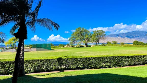 Gorgeous,2 bd, Ocean, AC,wifi,pool, hot tub D104 - Image 1
