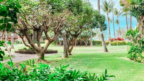 Two BD Grd fl, AC, Wifi, Pool, Hot Tub, B102 - Image 1